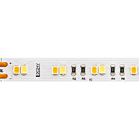 Vorschau: 12W/m Tunable White LED-Streifen 2100-4000K 5m 120 LED/m IP20 24V 1050lm RA90